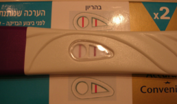 בדיקת הריון- ראשי